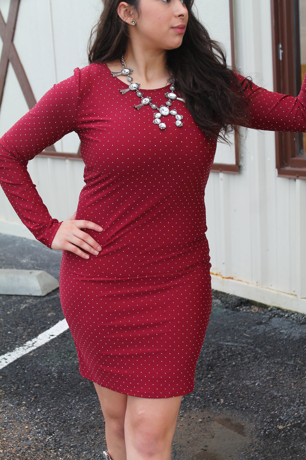 R&R Pomegranate Bodycon Dress