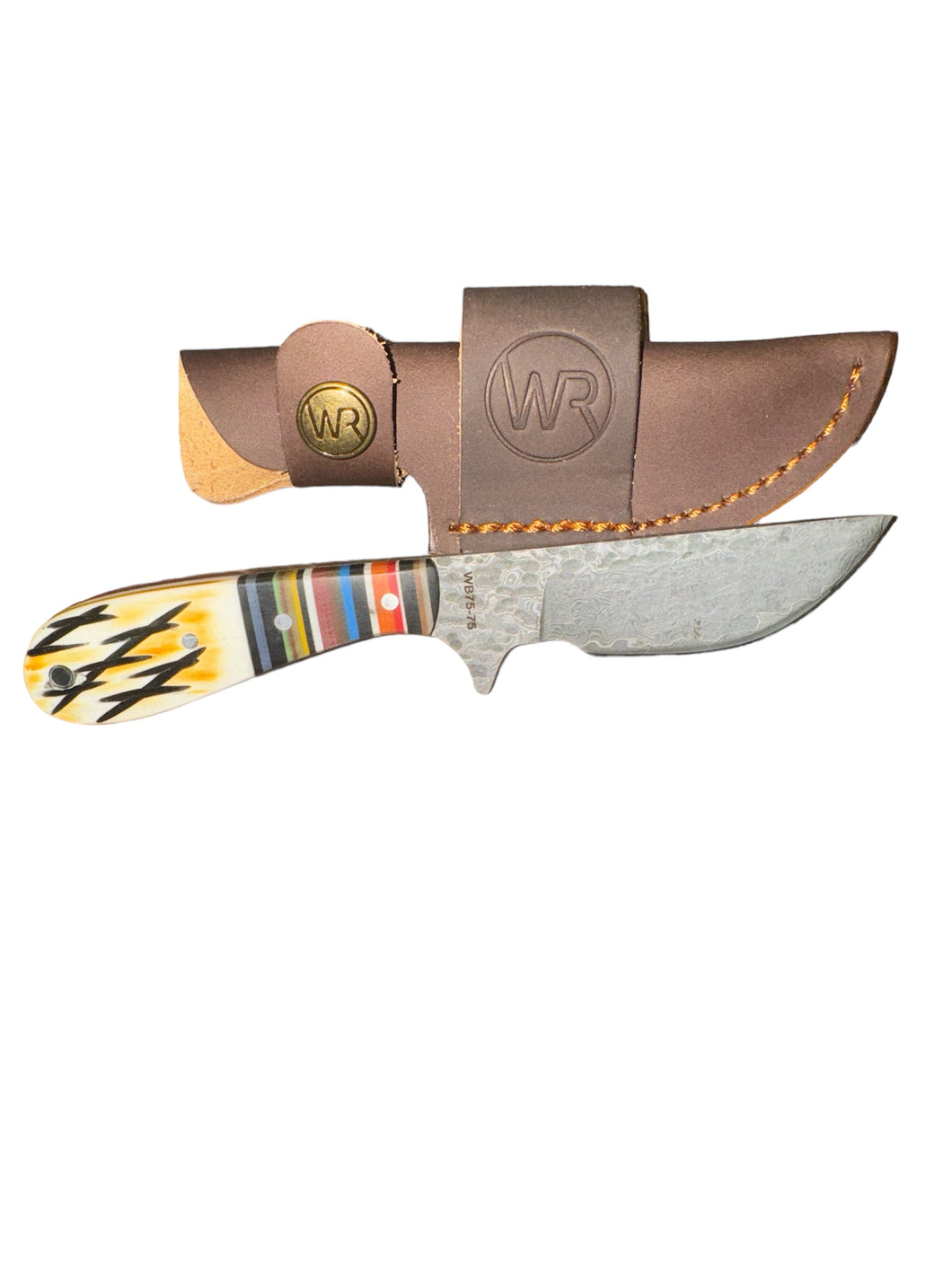 Bandito Ciervo Skinner Knife